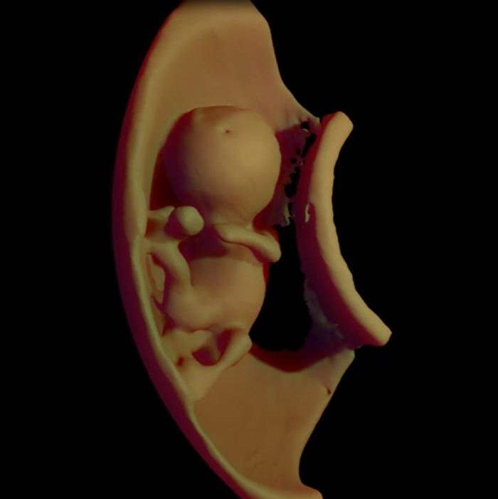 first-meeting-with-unborn-baby-in-virtual-reality1