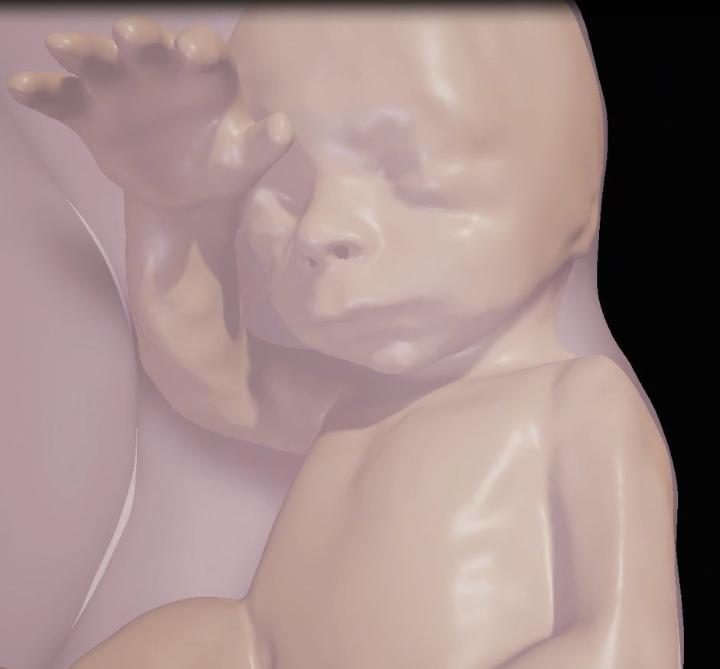 first-meeting-with-unborn-baby-in-virtual-reality2